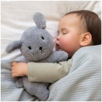 Little dutch Pejsek Snuffie Fluffy Blue 25 cm – Hledejceny.cz