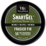 WoodWick SmartGel vonný gel Jedle 28 g – Hledejceny.cz