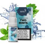 Way To Vape Two Mints 10 ml 18 mg – Sleviste.cz