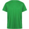Pánské sportovní tričko Roly Tričko Daytona sportovní pánské krátký rukáv-4 4 Zelené kapradí