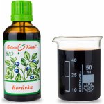 Bylinné kapky BIO Borůvka plod tinktura 50 ml – Hledejceny.cz