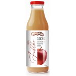 Ovocňák 100% Mošt Jablko 750 ml – Zboží Dáma