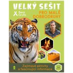 Zábavný sešit pro malé dobrodruhy - Bear Grylls – Hledejceny.cz