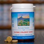 TCM Herbs Patero uhašení sopky 100 tablet 30 g – Hledejceny.cz
