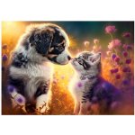 Castorland Nové přátelství 500 dílků – Hledejceny.cz