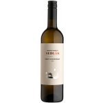 Vinařství Sedlák Chardonnay Pinot moravské zemské 12% 0,75 l (holá láhev) – Hledejceny.cz