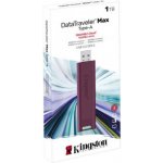 Kingston DataTraveler Max 1TB DTMAXA/1TB – Zboží Živě