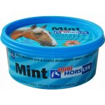 Horslyx Mint 0,65 kg – Zbozi.Blesk.cz