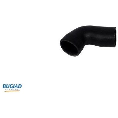 Hadicka plniciho vzduchu BUGIAD 82608 – Hledejceny.cz