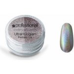 Professionail Ultra Hologram prášok 1,5 g – Hledejceny.cz