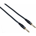 Bespeco EASS150 – Zboží Živě