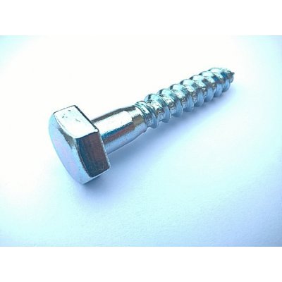 vrut šestihranný 10x 60 ZB (DIN 571) V6H10060zb – Hledejceny.cz