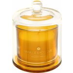 Atmosphera ILAE 240 ml – Zboží Mobilmania