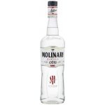Sambuca Molinari Extra Liqueur 40% 0,7 l (holá láhev) – Sleviste.cz