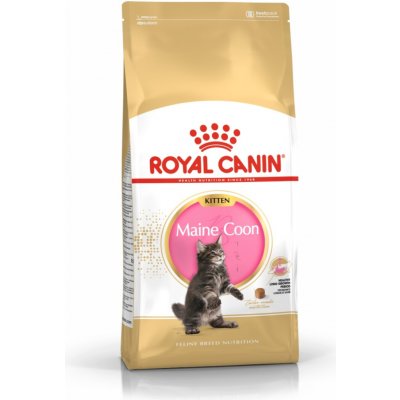 Royal Canin Maine Coon Kitten krmivo pro koťata Maine Coon 10 kg – Hledejceny.cz