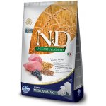 N&D Ancestral Grain Puppy Medium & Maxi Lamb & Blueberry 2 x 12 kg – Hledejceny.cz