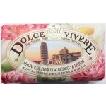 Nesti Dante Dolce Vivere mýdlo Pisa 250 g – Zbozi.Blesk.cz