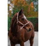 EQUITHEME Spring stájovka pro koně b.růžová – Sleviste.cz