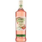 Vodka Smirnoff Infusions Raspberry 23% 1 l (holá láhev) – Hledejceny.cz