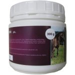 Hippovit MSM 1000 g – Hledejceny.cz