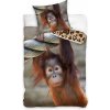 Povlečení TipTrade bavlna povlečení Opice Orangutan 140x200 70x90