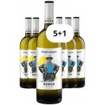 Cantine Borga Pinot grigio 2024 12,5% 0,75 l (holá láhev) – Hledejceny.cz