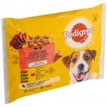 Pedigree Adult hovězí drůbeží v želé 4 x 100 g – Hledejceny.cz