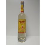 Gusano Rojo 38% 0,7 l (holá láhev) – Zbozi.Blesk.cz