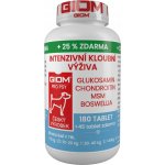 Giom Intenzivní kloubní výživa 180 tbl – HobbyKompas.cz