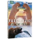 Fascinující proměny přírody DVD