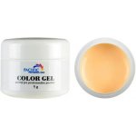 Pacific UV barevný gel Element Salmon 5 g – Hledejceny.cz