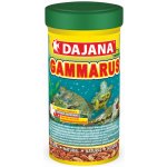 Dajana gammarus 500 ml, 60 g – Zboží Dáma
