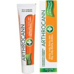 Annabis Arthrocann gel na klouby svaly šlachy 75ml – Hledejceny.cz