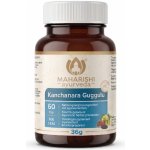 Maharishi Ayurveda Kanchanara Guggulu 60 kapslí – Hledejceny.cz