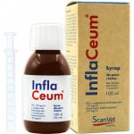 ScanVet InflaCeum Doplňkové krmivo dietní směs pro psy a kočky 100 ml – Hledejceny.cz