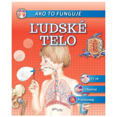 Ako to funguje Ľudské telo – Sleviste.cz