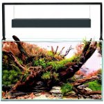 Aquael Ultrascape 60 forest 64,8 l – Hledejceny.cz