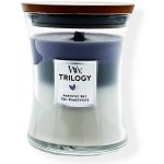 WoodWick Trilogy Amethyst Sky 275 g – Zboží Mobilmania