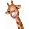 Malování podle čísla zuty Žirafa se žvýkačkou 80 x 100 cm bez rámu a bez vypnutí plátna