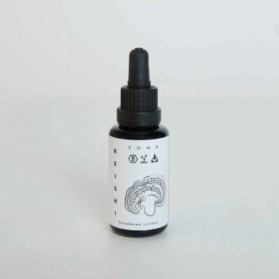 KÄÄPÄ Mushrooms Reishi BIO tinktura 30 ml – Hledejceny.cz