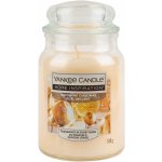 Yankee Candle Glistening Christmas 538 g – Zbozi.Blesk.cz