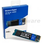 WD Blue SN550 1TB, WDS100T2B0C – Zboží Živě