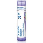 LYCOPODIUM CLAVATUM POR 30CH GRA 1X4G – Hledejceny.cz