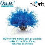 Biorb 46076 modrá mořská Lilie 11 cm, 13 cm