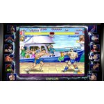 Street Fighter (30th Anniversary Collection) – Hledejceny.cz