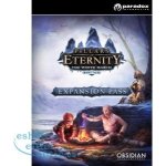 Pillars of Eternity: The White March Expansion Pass – Hledejceny.cz