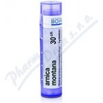 ARNICA MONTANA POR 30CH GRA 4G – Zboží Dáma ARNICA MONTANA POR 30CH GRA 4G – Zboží Dáma