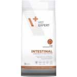 VetExpert Veterinary Diet 4T Intestinal Cat 2 kg – Zboží Dáma