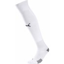 Puma teamFINAL 21 Socks