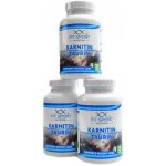 Fit Sport Nutrition Karnitin Taurin 360 kapslí – Zboží Dáma